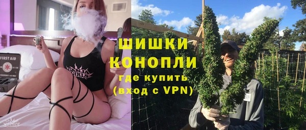 крисы Белокуриха