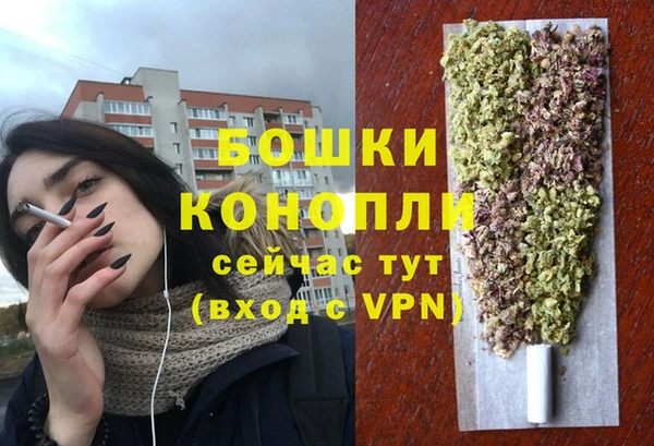 крисы Белокуриха