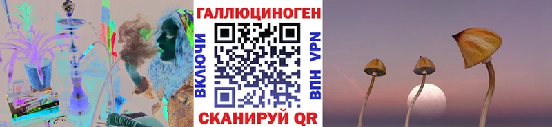 Псилоцибиновые грибы Psilocybine cubensis  магазин продажи   Невельск 